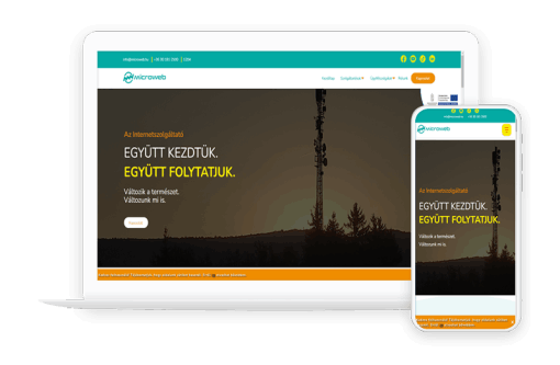 Microweb